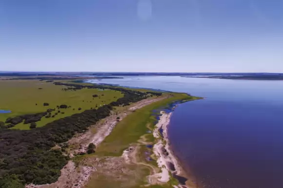 Portada campos #206 - Maldonado