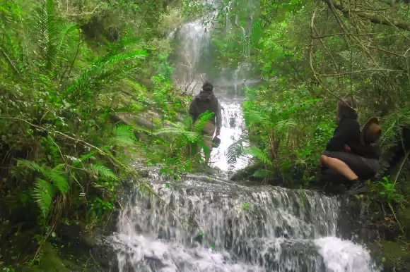 Portada campos #211 - Treinta y Tres