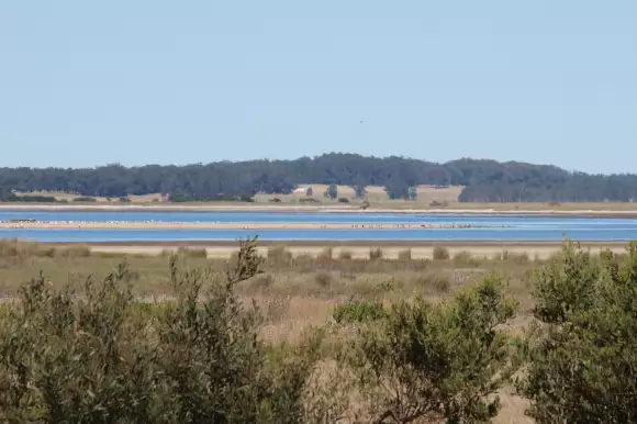 Portada casas #3000 - Jose Ignacio