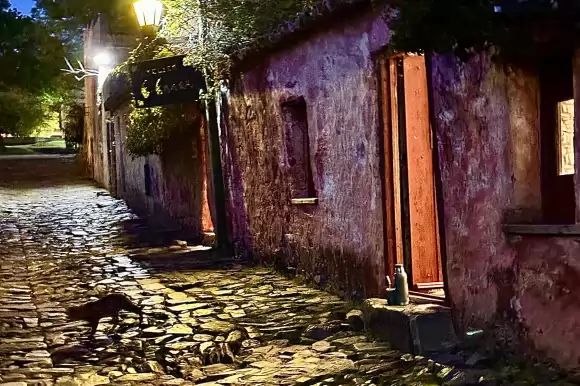 Portada casas #4746 - Colonia