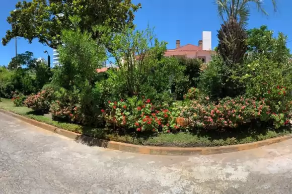 Portada casas #4751 - Punta del Este