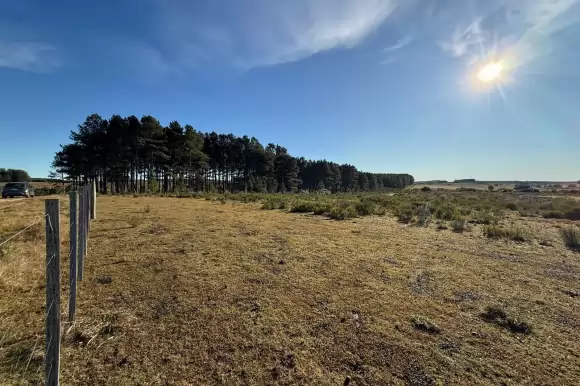 Portada chacras #1414 - Jose Ignacio