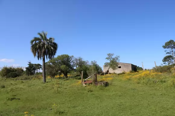 Portada chacras #1419 - Rocha