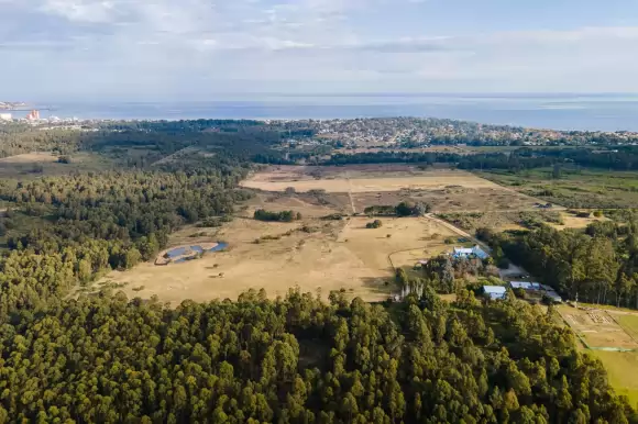 Portada chacras #1647 - Punta Ballena