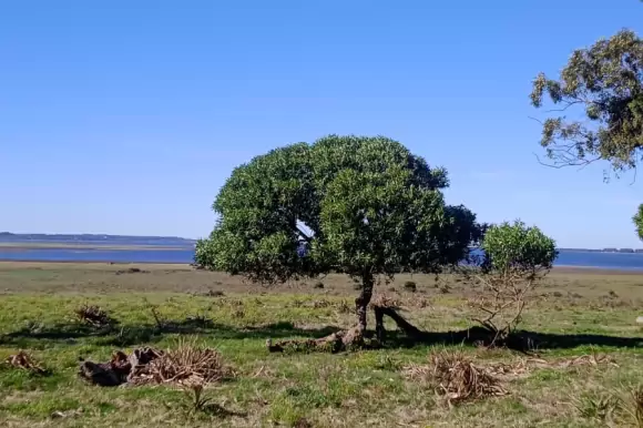 Portada chacras #1648 - Jose Ignacio