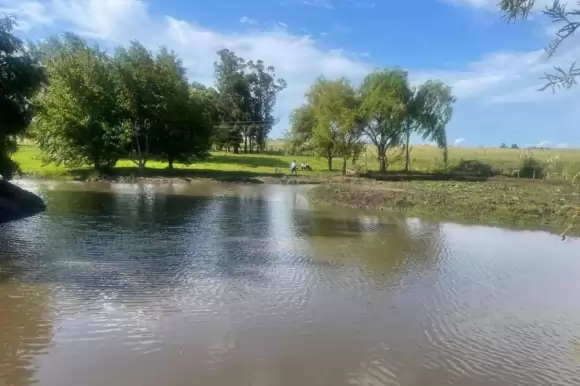 Portada chacras #1658 - Punta Ballena