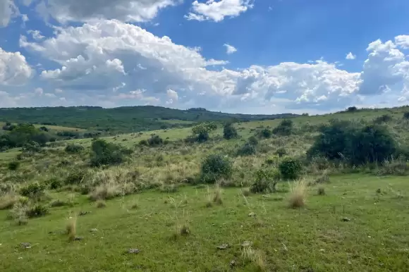 Portada chacras #1661 - Jose Ignacio