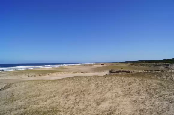 Portada terrenos #1561 - Rocha